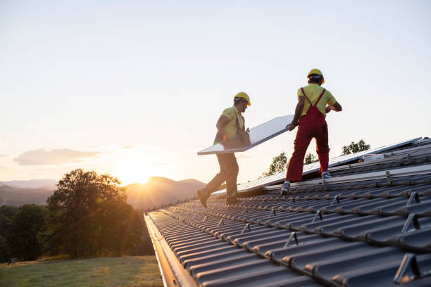 Best Skylights  in Wilton, CA