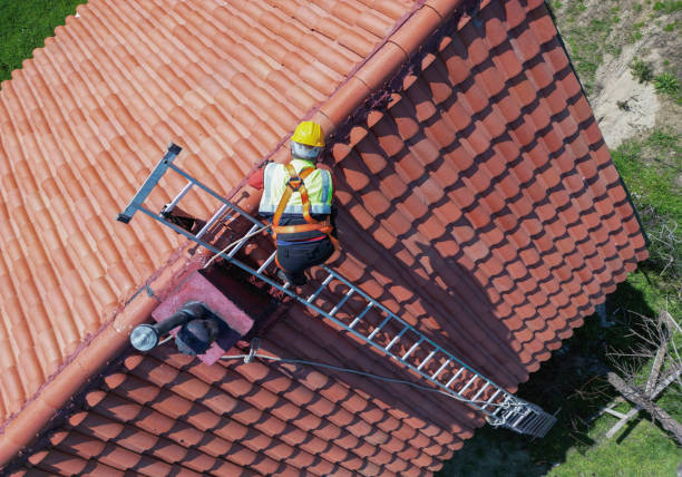 Best Cold Roofs  in Wilton, CA
