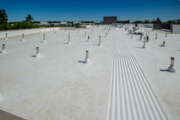 Best Solar Panel Roofing Installation  in Wilton, CA